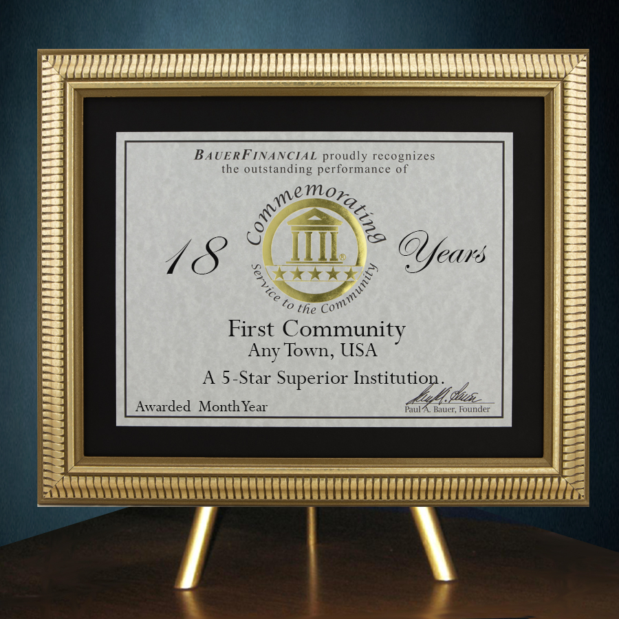 5-Star Gold-Framed Anniversary Award in Black Matting on top of a gold table top easel