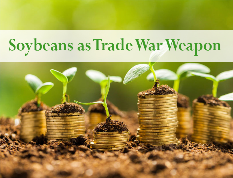 Soybeans as Trade War Weapon