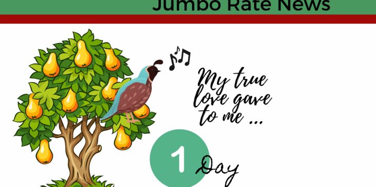 A partridge in a pear tree appears to be singing 'The Twelve Days of Christman"