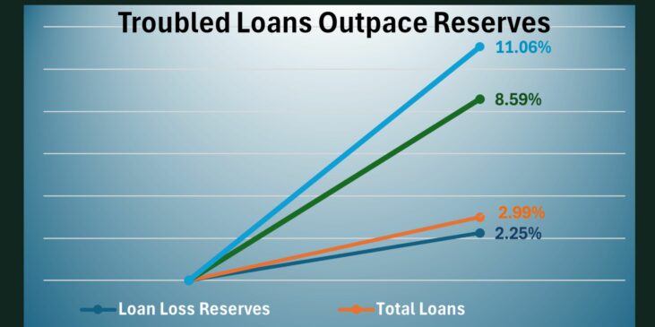 Graph Compares Loan Growth and loan loss reserve growth to increases in Problem loans.