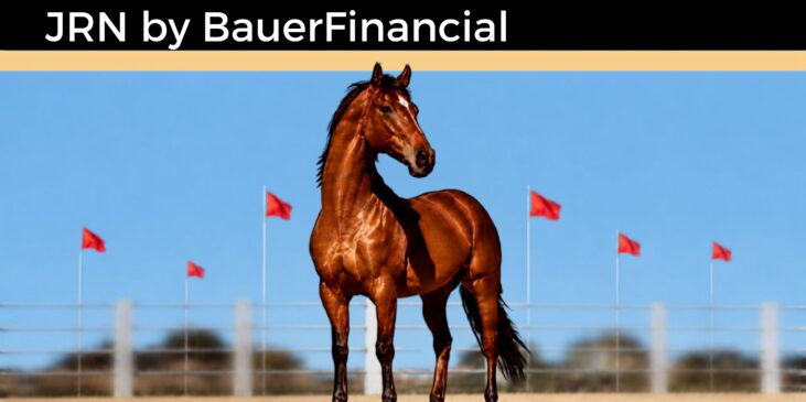 Blurred Lines, Red Flags and a Stalking Horse